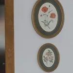 בית נופש Casa Rosa