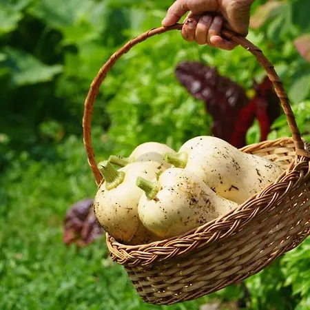 Casa Rosa Nyaraló Vila Nova de Cerveira