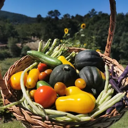 Casa Rosa * Vila Nova de Cerveira