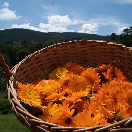 Casa Rosa Vila Nova de Cerveira