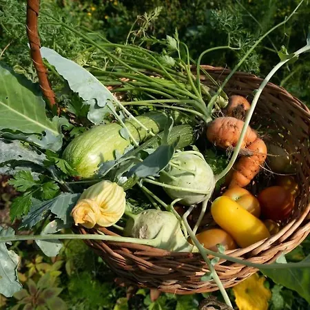 Casa Rosa Vila Nova de Cerveira