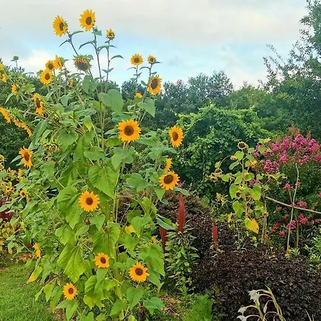 Casa Rosa * Vila Nova de Cerveira