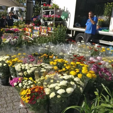 Casa Rosa Ferienhaus Vila Nova de Cerveira