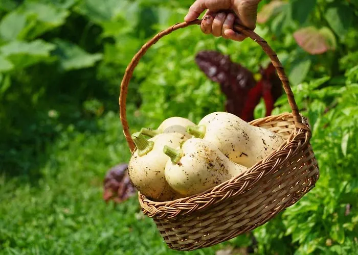 Casa Rosa 別荘 ヴィラ・ノーヴァ・デ・セルヴェイラ