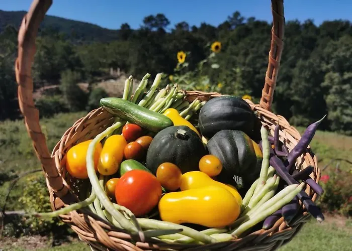 Casa Rosa * Vila Nova de Cerveira