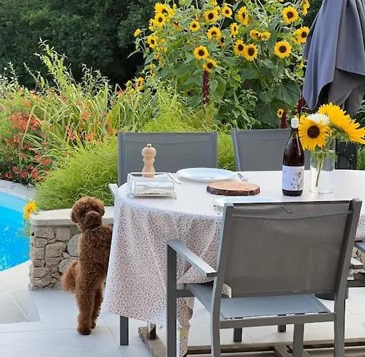 別荘 Casa Rosa ヴィラ・ノーヴァ・デ・セルヴェイラ