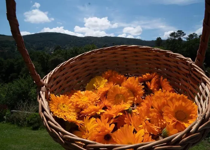 Casa Rosa ヴィラ・ノーヴァ・デ・セルヴェイラ