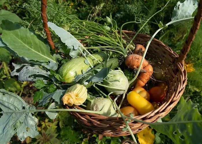 Casa Rosa ヴィラ・ノーヴァ・デ・セルヴェイラ