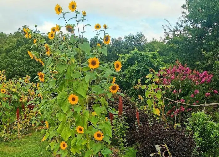 Casa Rosa * ヴィラ・ノーヴァ・デ・セルヴェイラ