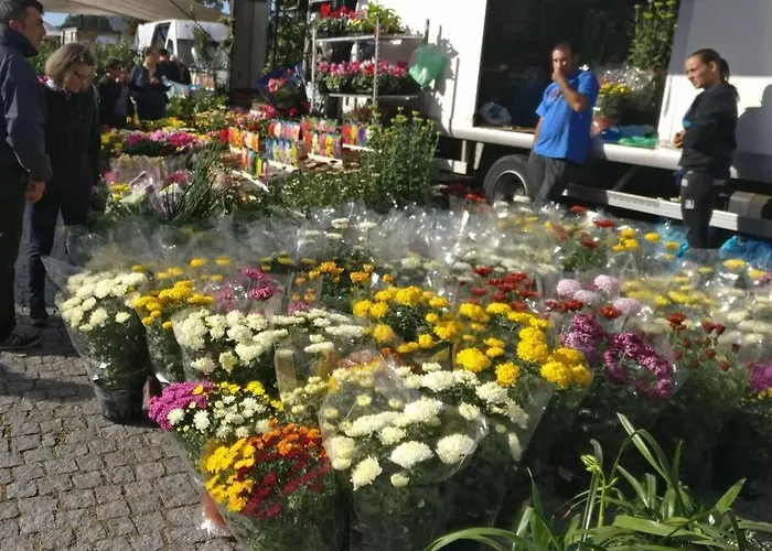 Casa Rosa 別荘 ヴィラ・ノーヴァ・デ・セルヴェイラ